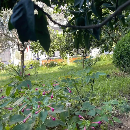 In The Heart Of Komuna E Parisit Διαμέρισμα Τίρανα